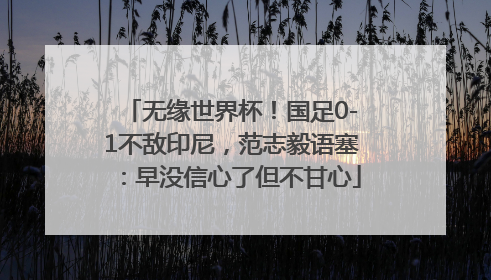 无缘世界杯！国足0-1不敌印尼，范志毅语塞：早没信心了但不甘心