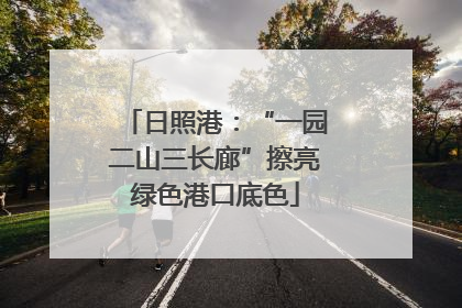 日照港：“一园二山三长廊”擦亮绿色港口底色