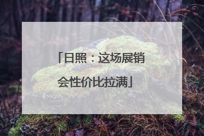日照：这场展销会性价比拉满