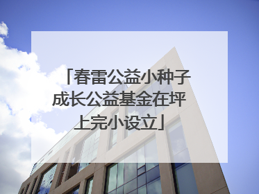春雷公益小种子成长公益基金在坪上完小设立