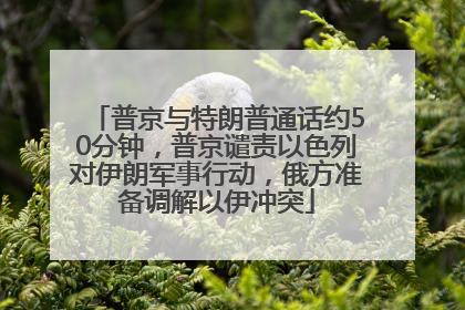 普京与特朗普通话约50分钟，普京谴责以色列对伊朗军事行动，俄方准备调解以伊冲突
