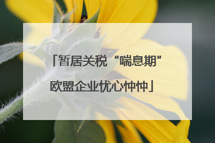 暂居关税“喘息期” 欧盟企业忧心忡忡