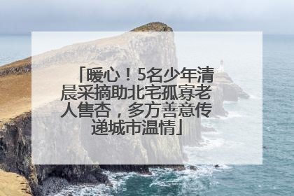 暖心！5名少年清晨采摘助北宅孤寡老人售杏，多方善意传递城市温情