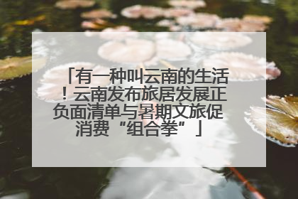有一种叫云南的生活!云南发布旅居发展正负面清单与暑期文旅促消费“组合拳”