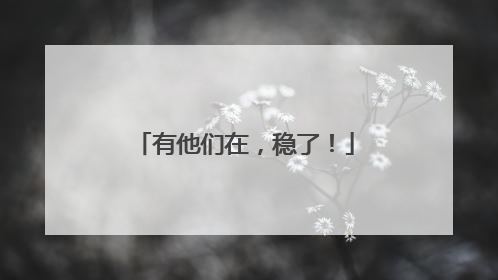 有他们在，稳了！
