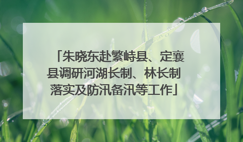 朱晓东赴繁峙县、定襄县调研河湖长制、林长制落实及防汛备汛等工作