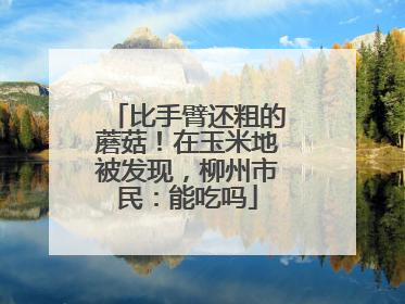比手臂还粗的蘑菇！在玉米地被发现，柳州市民：能吃吗