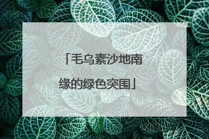 毛乌素沙地南缘的绿色突围
