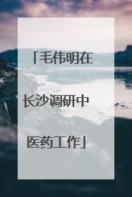毛伟明在长沙调研中医药工作