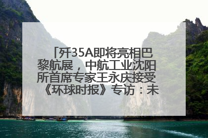 歼35A即将亮相巴黎航展，中航工业沈阳所首席专家王永庆接受《环球时报》专访：未来数量可以有很多