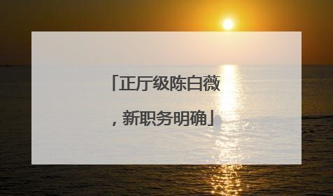 正厅级陈白薇，新职务明确