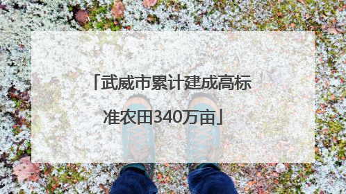 武威市累计建成高标准农田340万亩