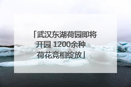 武汉东湖荷园即将开园 1200余种荷花竞相绽放
