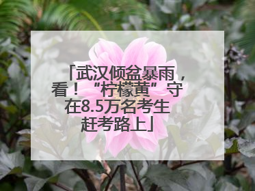 武汉倾盆暴雨，看！“柠檬黄”守在8.5万名考生赶考路上