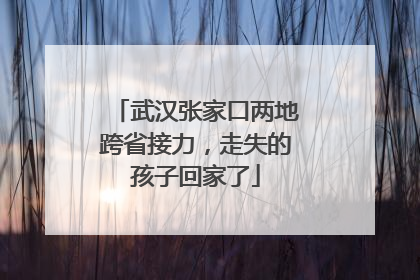 武汉张家口两地跨省接力，走失的孩子回家了
