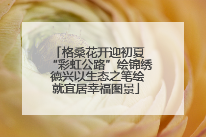 格桑花开迎初夏 “彩虹公路”绘锦绣 德兴以生态之笔绘就宜居幸福图景