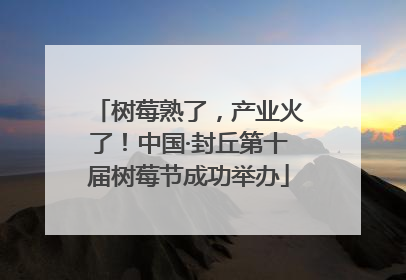 树莓熟了，产业火了！中国·封丘第十届树莓节成功举办