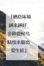 栖息环境越来越好 多种夏候鸟陆续来厦恋爱生娃