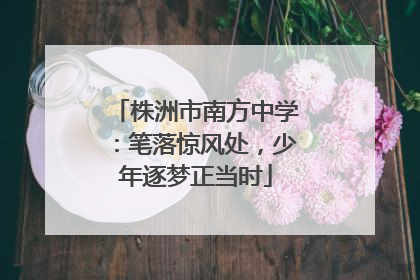 株洲市南方中学：笔落惊风处，少年逐梦正当时
