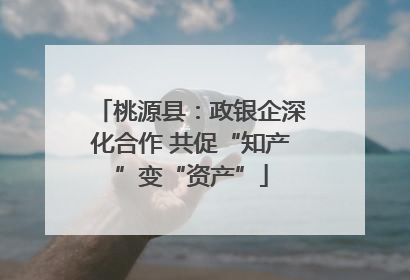 桃源县：政银企深化合作 共促“知产”变“资产”