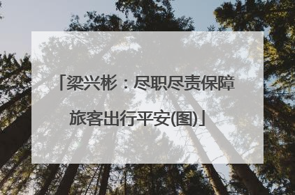 梁兴彬：尽职尽责保障旅客出行平安(图)