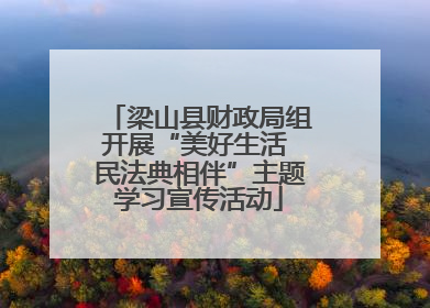 梁山县财政局组开展“美好生活 民法典相伴”主题学习宣传活动