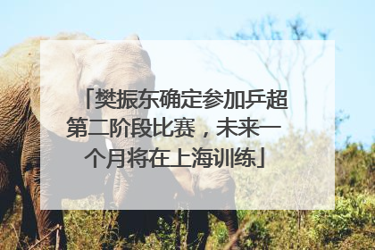 樊振东确定参加乒超第二阶段比赛，未来一个月将在上海训练