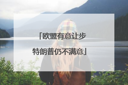 欧盟有意让步 特朗普仍不满意