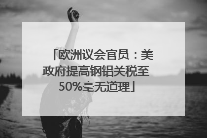 欧洲议会官员：美政府提高钢铝关税至50%毫无道理