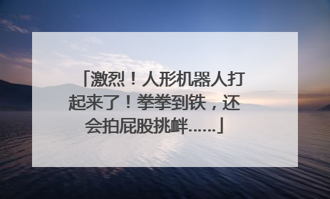 激烈！人形机器人打起来了！拳拳到铁，还会拍屁股挑衅……