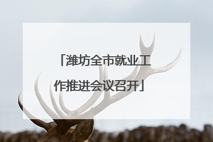 潍坊全市就业工作推进会议召开