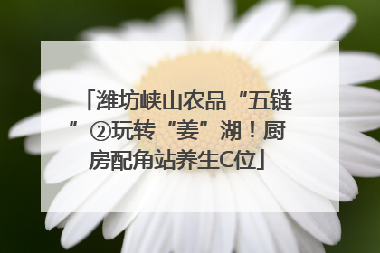 潍坊峡山农品“五链”②玩转“姜”湖！厨房配角站养生C位