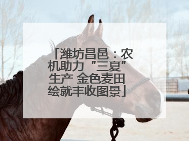 潍坊昌邑：农机助力“三夏”生产 金色麦田绘就丰收图景