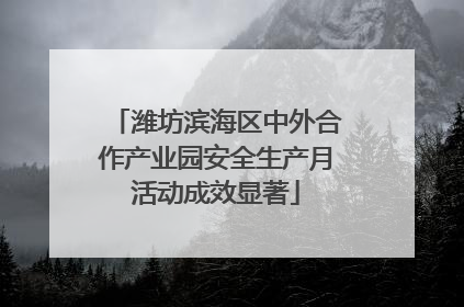 潍坊滨海区中外合作产业园安全生产月活动成效显著