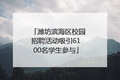 潍坊滨海区校园招聘活动吸引6100名学生参与