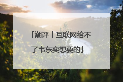 潮评丨互联网给不了韦东奕想要的