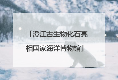 澄江古生物化石亮相国家海洋博物馆