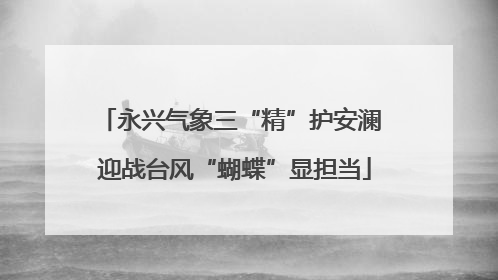 永兴气象三“精”护安澜 迎战台风“蝴蝶”显担当
