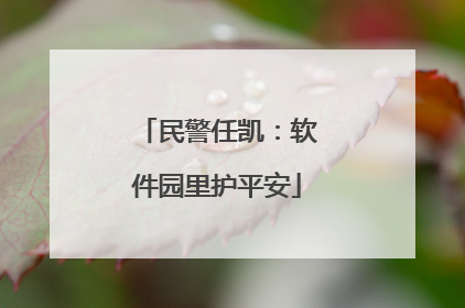 民警任凯：软件园里护平安