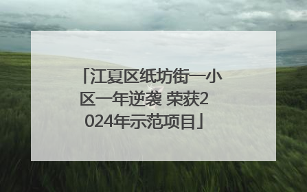 江夏区纸坊街一小区一年逆袭 荣获2024年示范项目