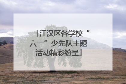江汉区各学校“六一”少先队主题活动精彩纷呈