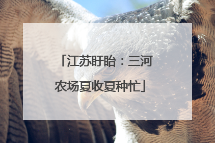 江苏盱眙：三河农场夏收夏种忙