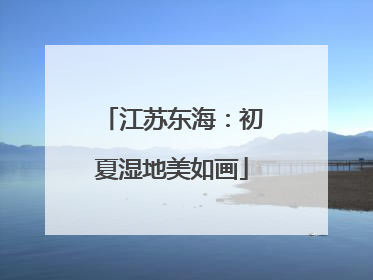 江苏东海：初夏湿地美如画