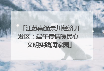 江苏南通崇川经济开发区：端午传情暖民心 文明实践润家园