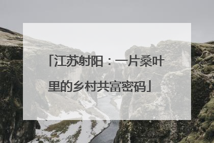 江苏射阳：一片桑叶里的乡村共富密码