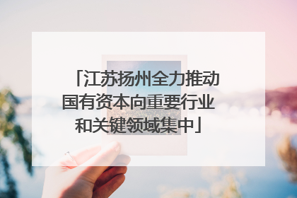 江苏扬州全力推动国有资本向重要行业和关键领域集中
