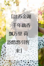 江苏金湖：千年藕香飘万里 荷韵悠悠引客来