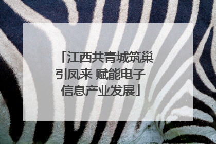 江西共青城筑巢引凤来 赋能电子信息产业发展