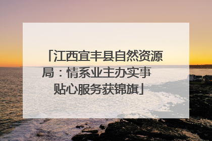江西宜丰县自然资源局：情系业主办实事 贴心服务获锦旗