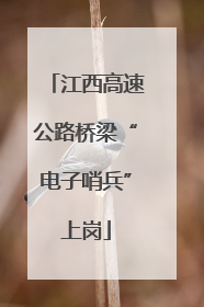 江西高速公路桥梁“电子哨兵”上岗